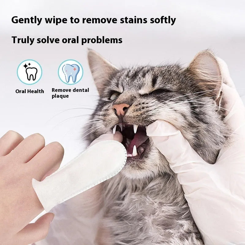 Pack of 50 disposable non-woven fabric finger cots for cleaning cat and dog teeth
