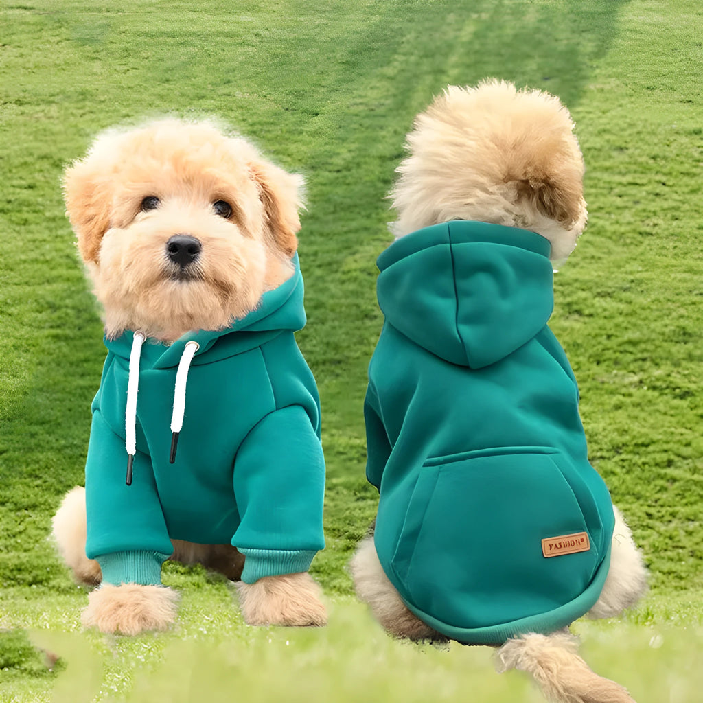 Hooded dog sweater in trueran spandex, shown in green, black, grey, and red, sizes S to XL