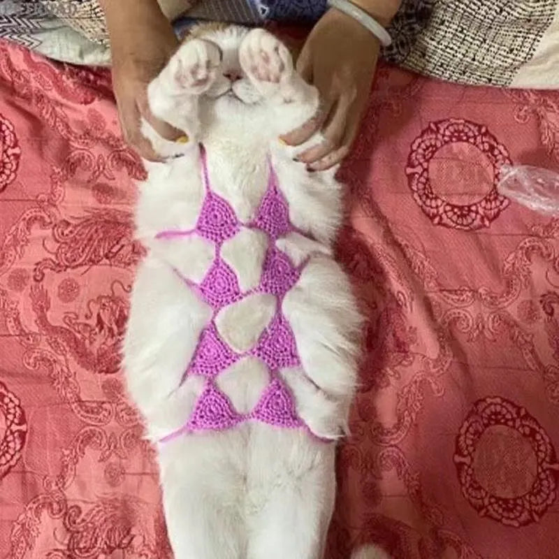 Colour options for sweet style cat bikini costume including black, green, pink, red, and rose red