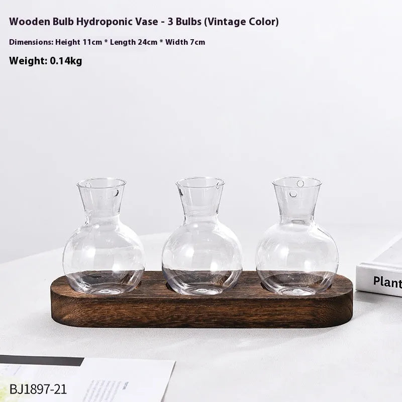 Transparent hydroponic vase in wooden frame for water plant display
