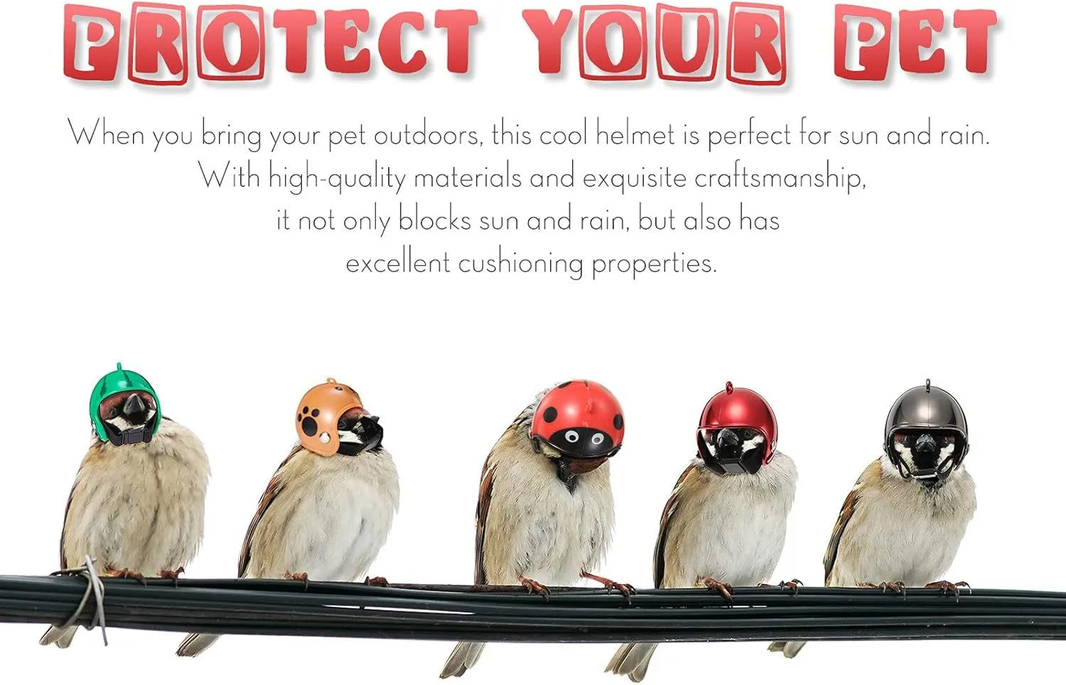 Small hard plastic pet helmet with elastic straps, shown on a chicken.
