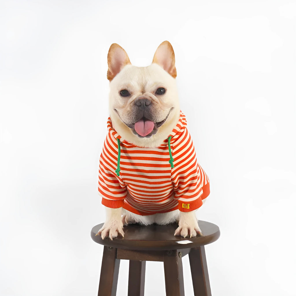 Orange cotton hooded sweater for dogs showing Japanese style design with multiple sizing options