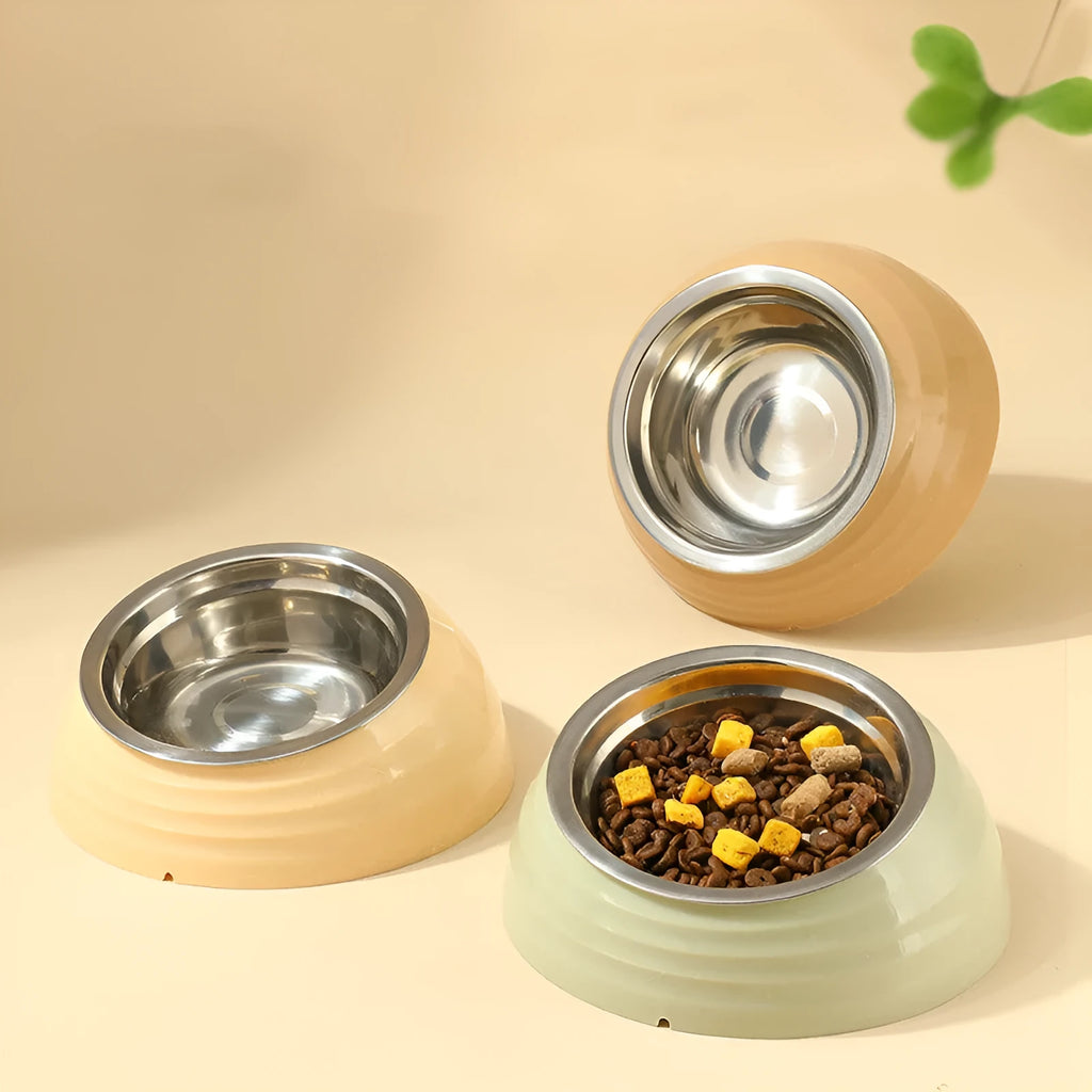 Stainless steel cat bowl in beige plastic base feeding station for pets