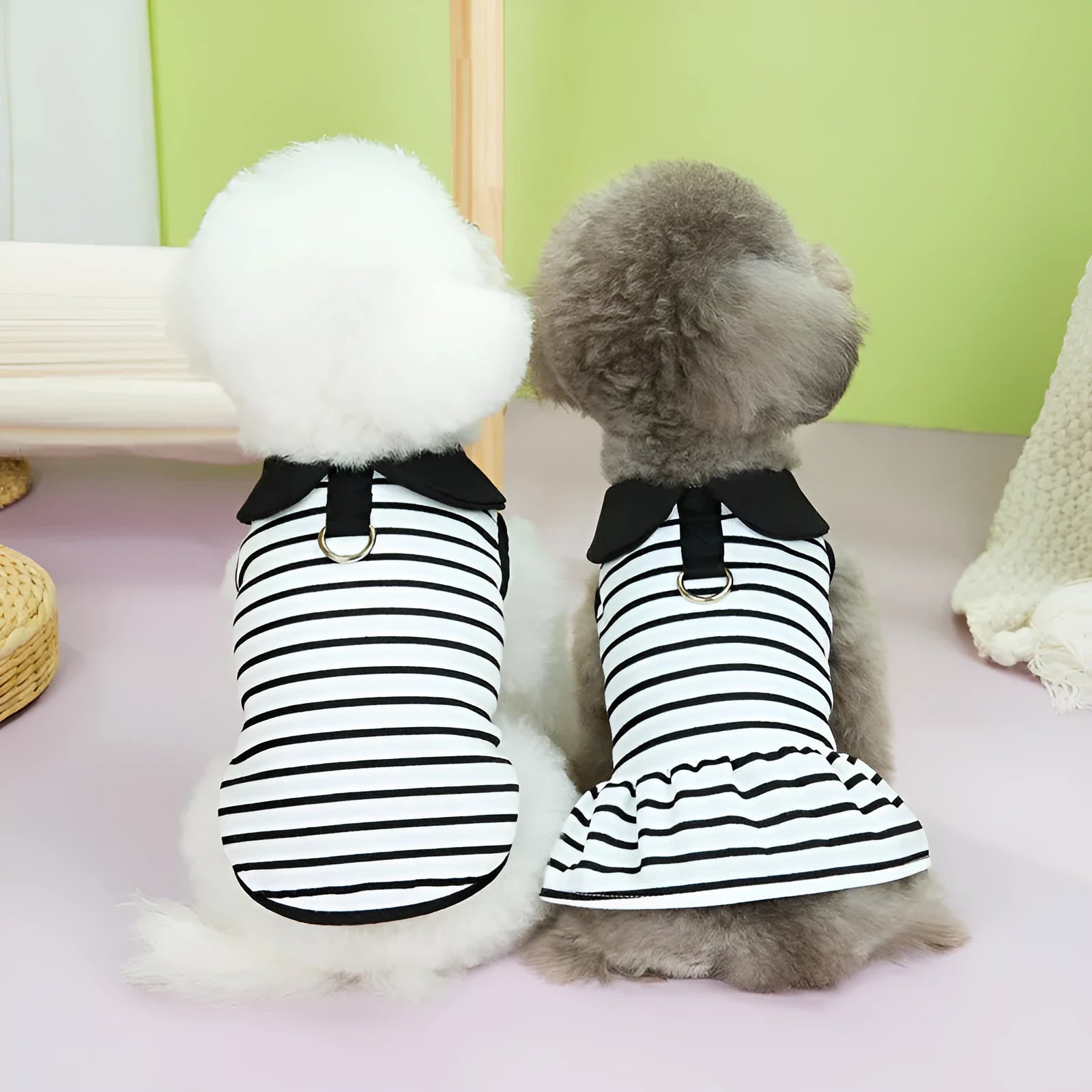Pet wearing striped cotton t-shirt and matching skirt summer outfit set