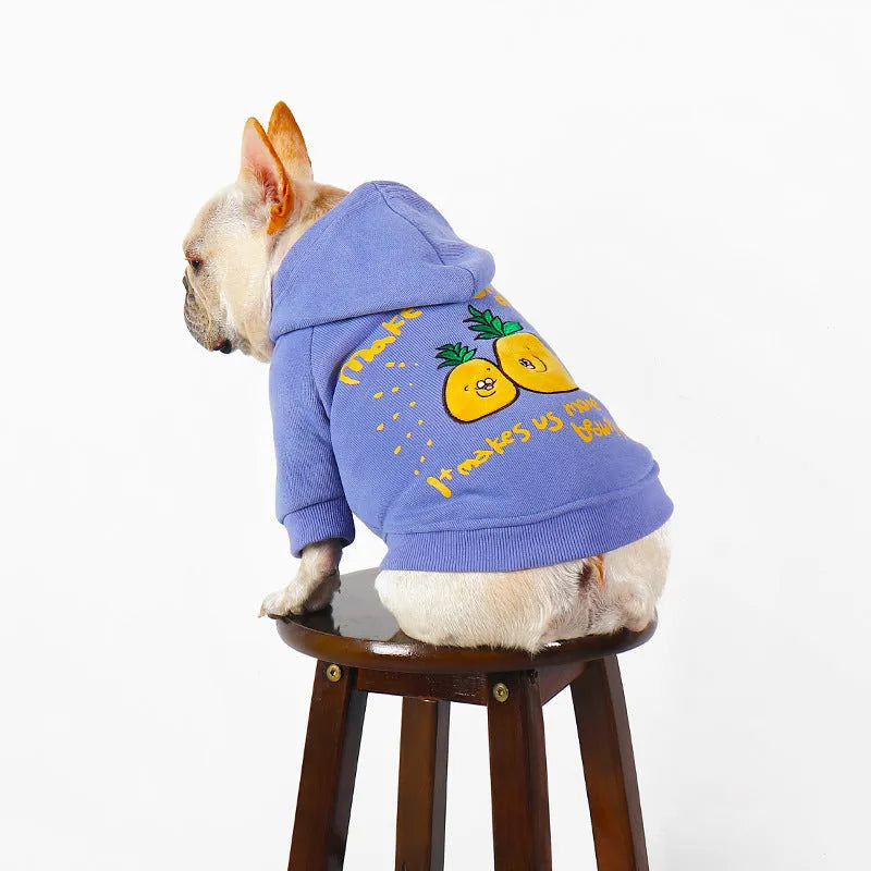 Blue and purple cotton pet hoodie with cartoon print for winter wear