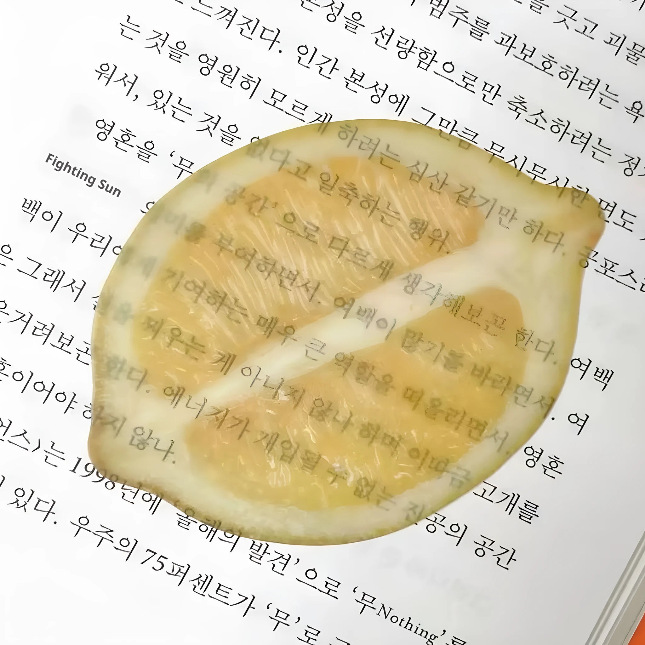 Transparent plastic fruit shaped bookmark with fixed clip, watermelon red colour, 8-10cm size