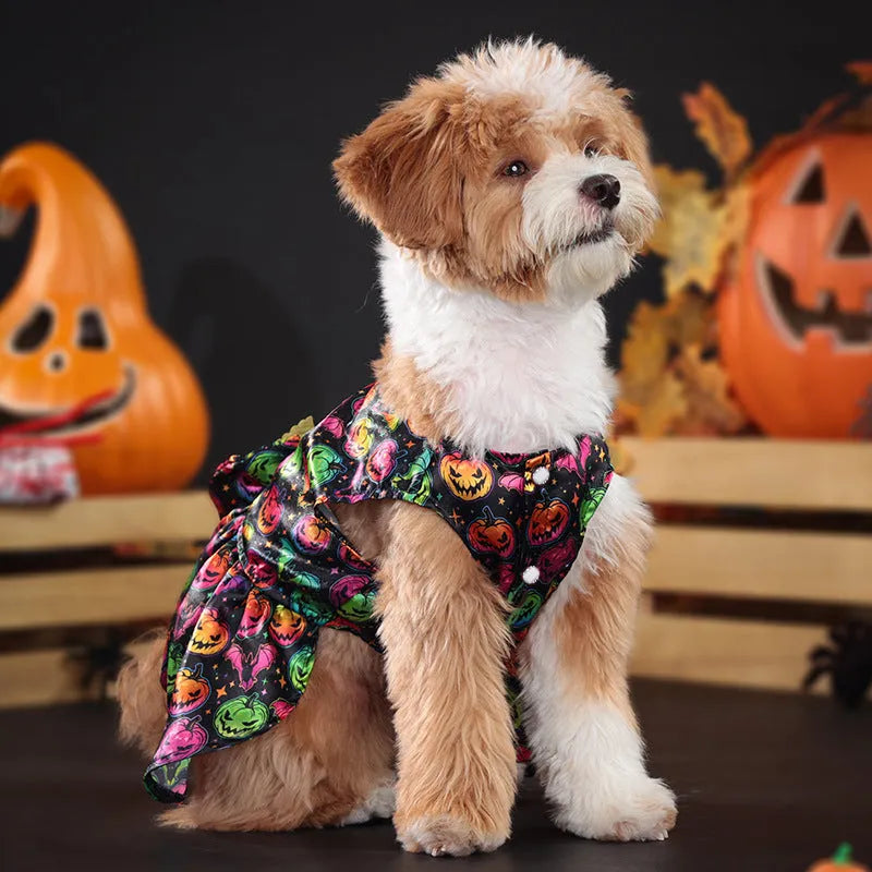 Orange and black Halloween dog costume with angel wings, shown in bright pumpkin and bright bat colours.
