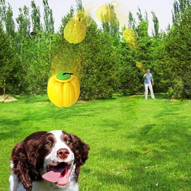 Small orange plastic pumpkin dog ball with squeaker for puppy chewing and training