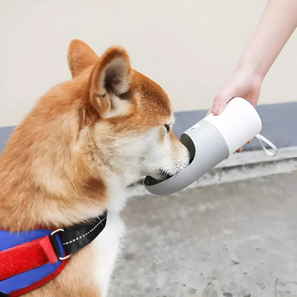 White and grey Moestar Rocket shaped pet water bottle with cup head and lock button.
