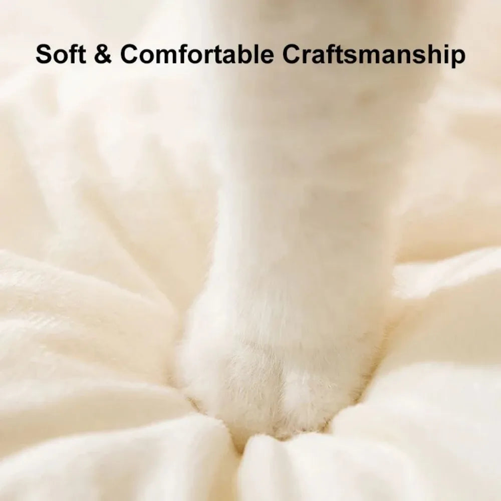 Green winter cat tent pet bed with a removable blanket inside, shown next to a yellow version.