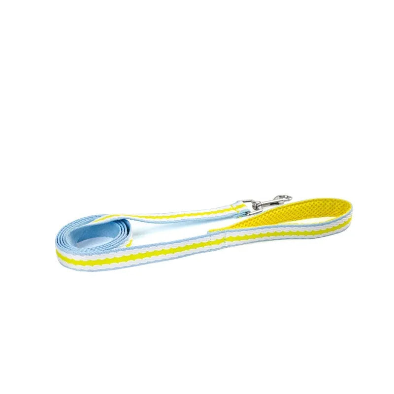 Polyester dog harness with Y-shaped chest strap and integrated hand-holding rope in four colour options