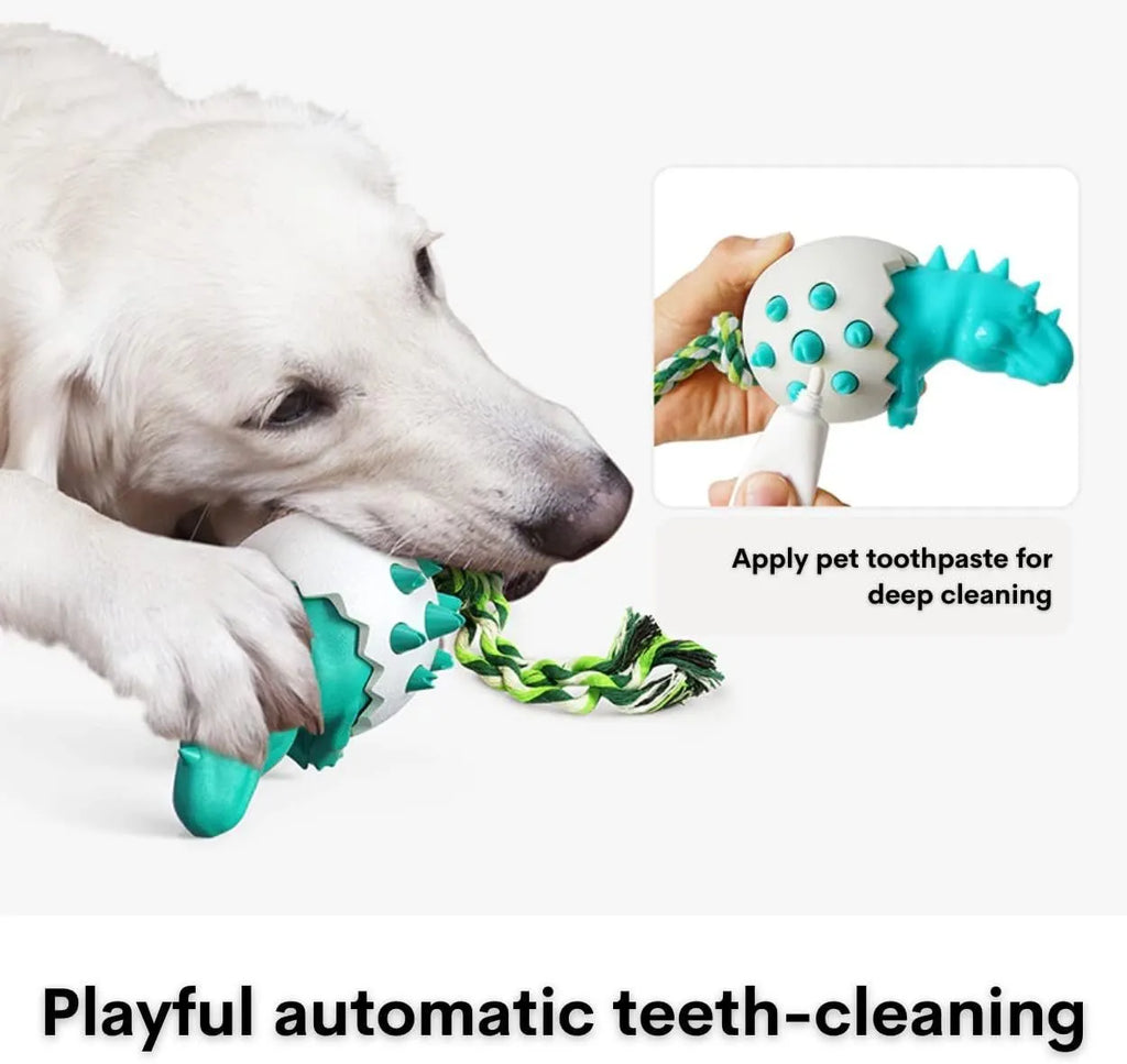 Blue durable rubber dino dog chew toy with attached nylon rope for aggressive chewers.