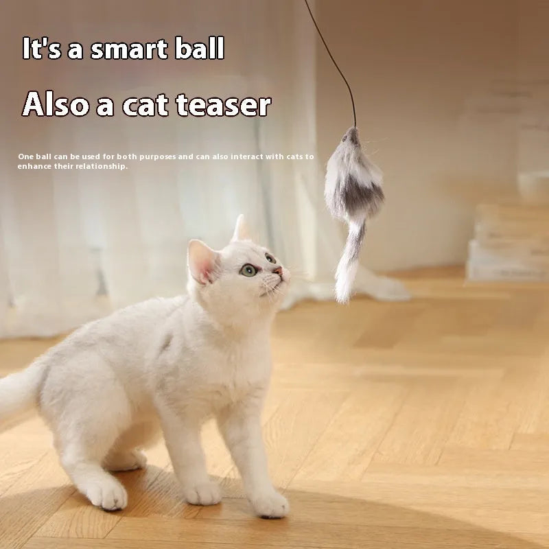 Blue orange automatic cat teasing ball with plush mouse attachment rolling on floor