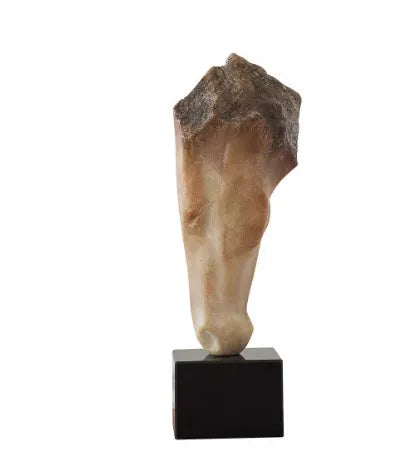 Abstract French retro style horse head desktop sculpture with carved texture
