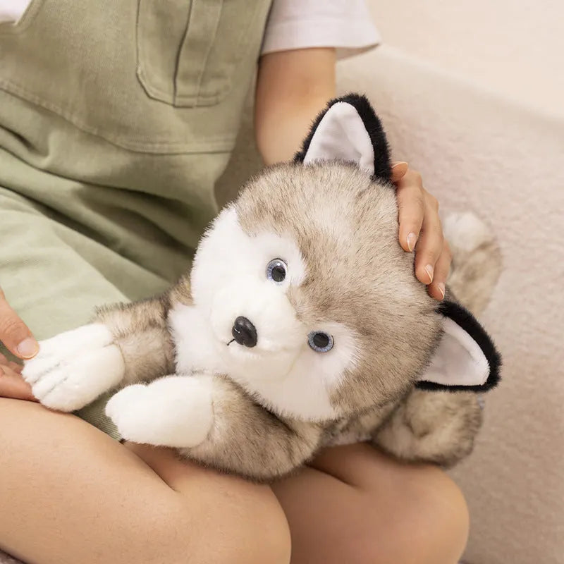 Lying posture simulation Shiba Inu Brown plush doll 35cm on soft surface