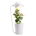 A white plastic hydroponic container for desktop soilless plant cultivation.