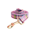Complete four-piece dog collar and lead set with matching bow and vest in cloth material