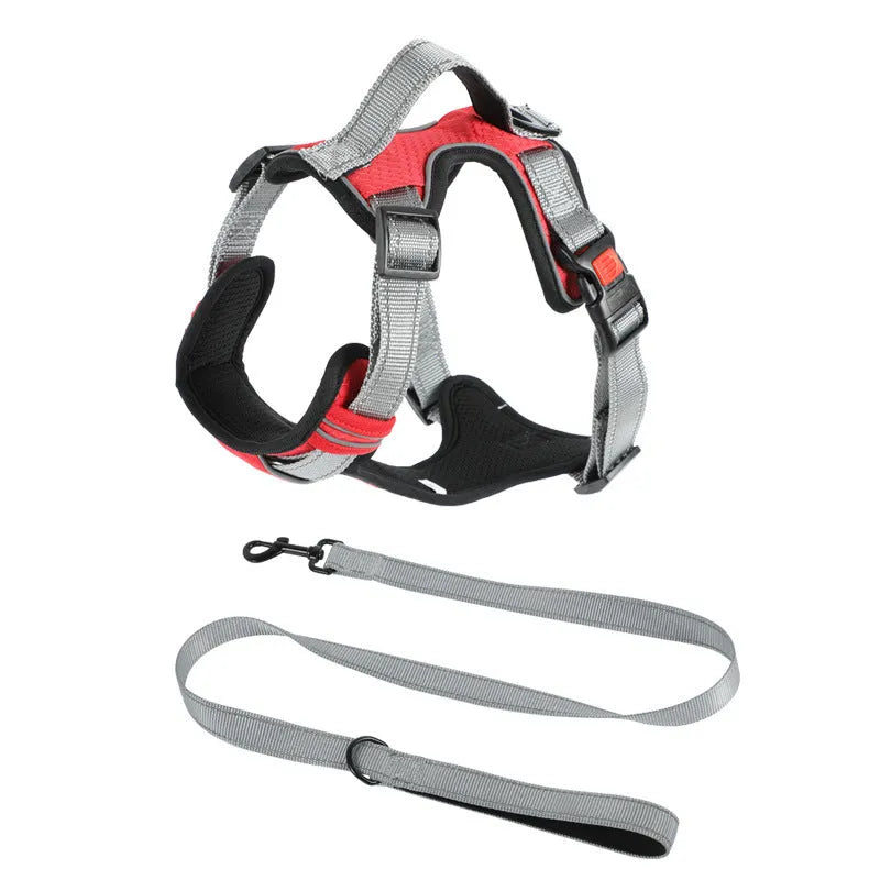 Orange polyester dog chest strap vest harness with an adjustable strap and a matching hand holding rope.
