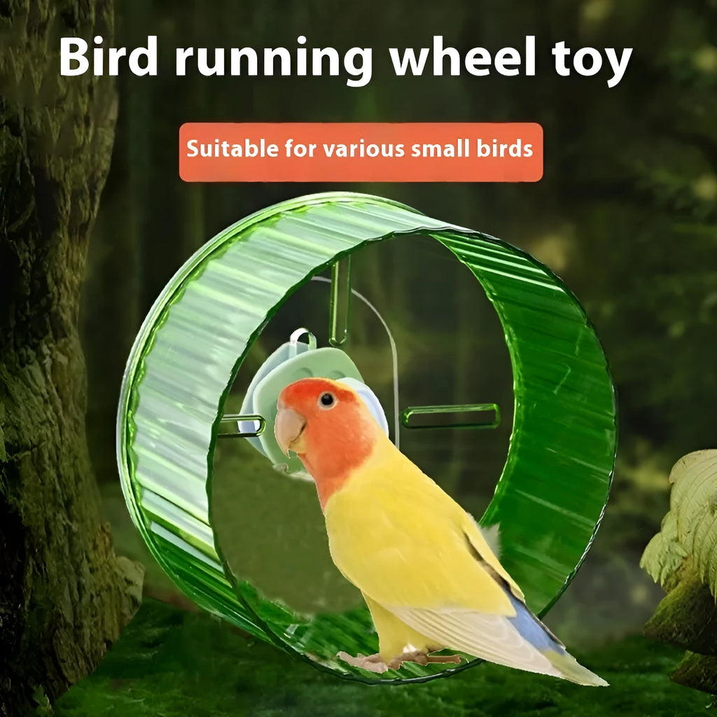 A plastic running wheel toy for parrots and birds, shown in multiple colour options.