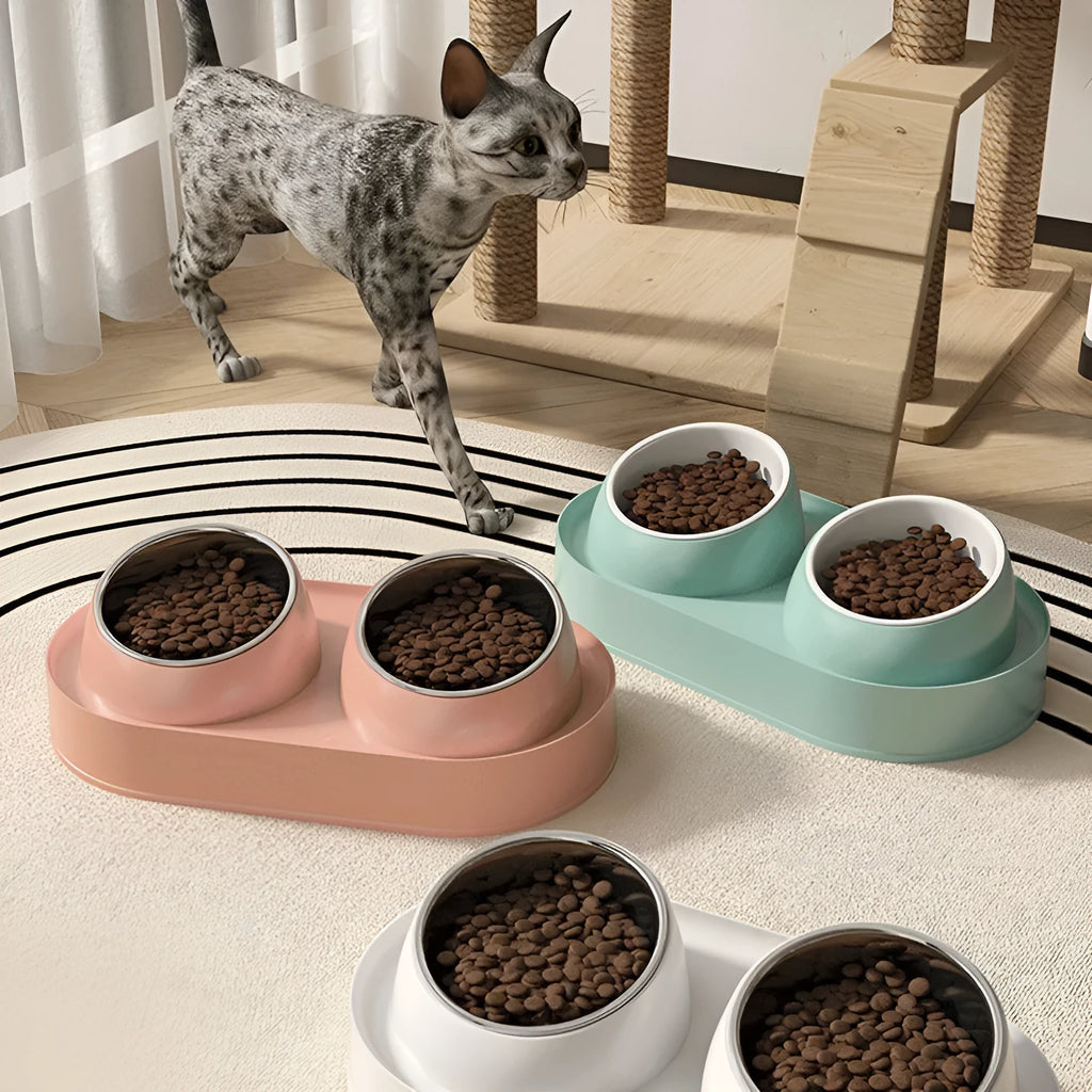 White elevated pet feeder with two tilted bowls on a wide base, for cats and small dogs.