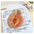 Transparent plastic fruit shaped bookmark with fixed clip, watermelon red colour, 8-10cm size