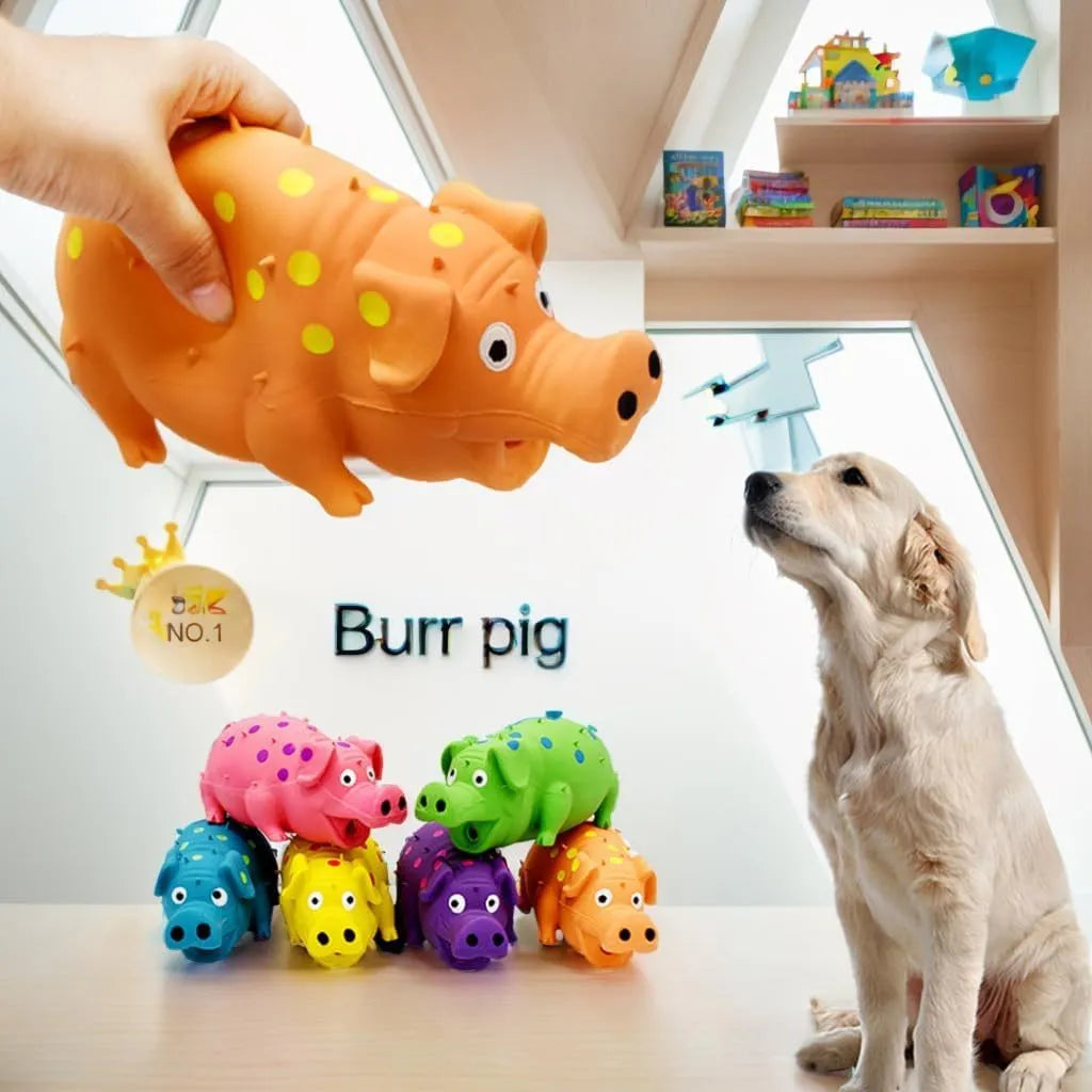 Blue latex squeaky pig-shaped dog chew toy with textured surface for teeth cleaning.