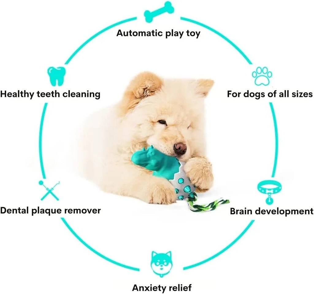 Blue durable rubber dino dog chew toy with attached nylon rope for aggressive chewers.