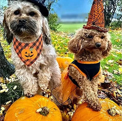 Orange Halloween dog bandana with pumpkin appliques and white skeleton design on plaid pattern