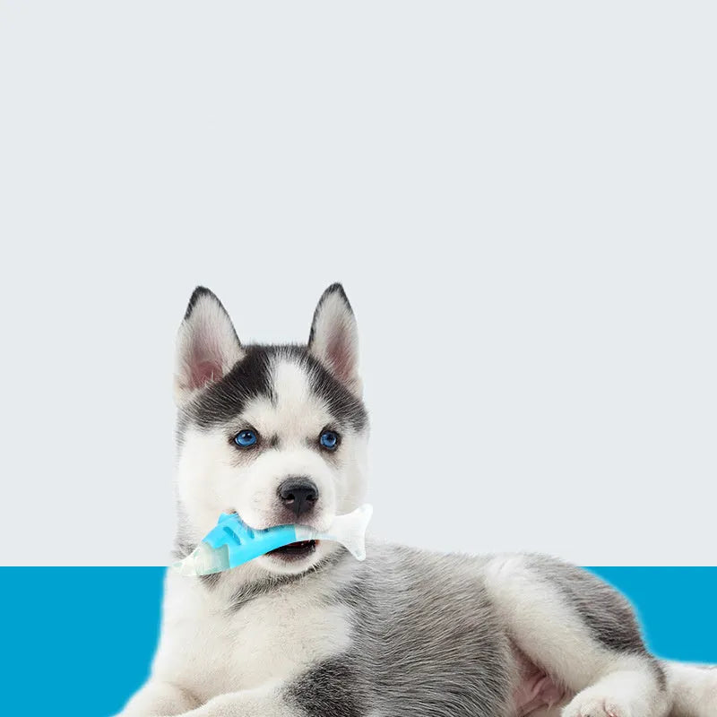 Two PU nylon dog chew toys: a seahorse and a tuna, on a plain background.