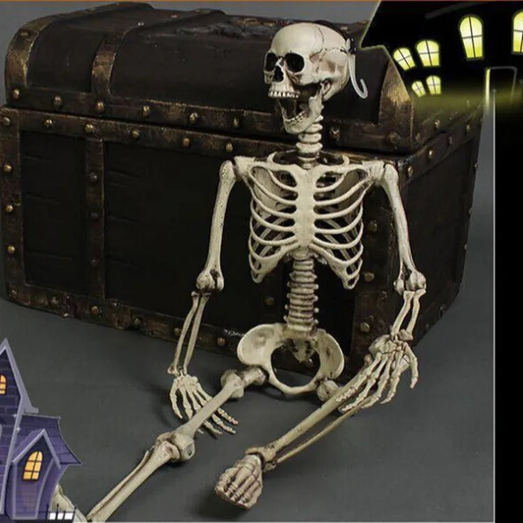 Full 170 cm tall plastic skeleton prop with detailed human skull standing upright