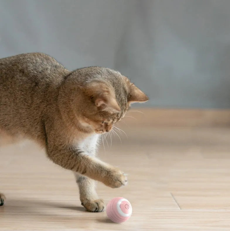 Blue rechargeable automatic bouncing ball smart toy for indoor cats on a floor.