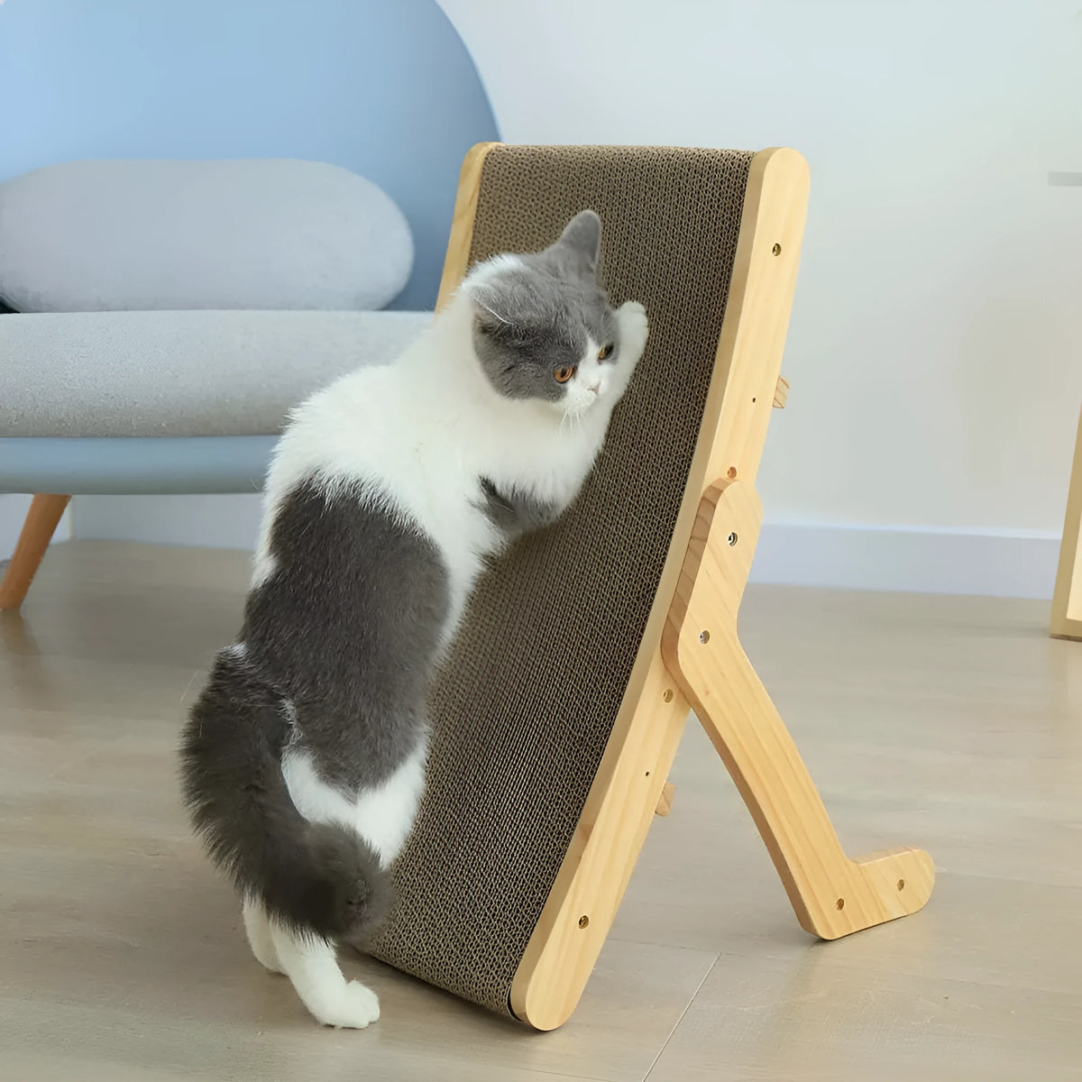 Deformation cat bed and scratcher in primary colour with corrugated paper surface, pine frame and three adjustable angles.