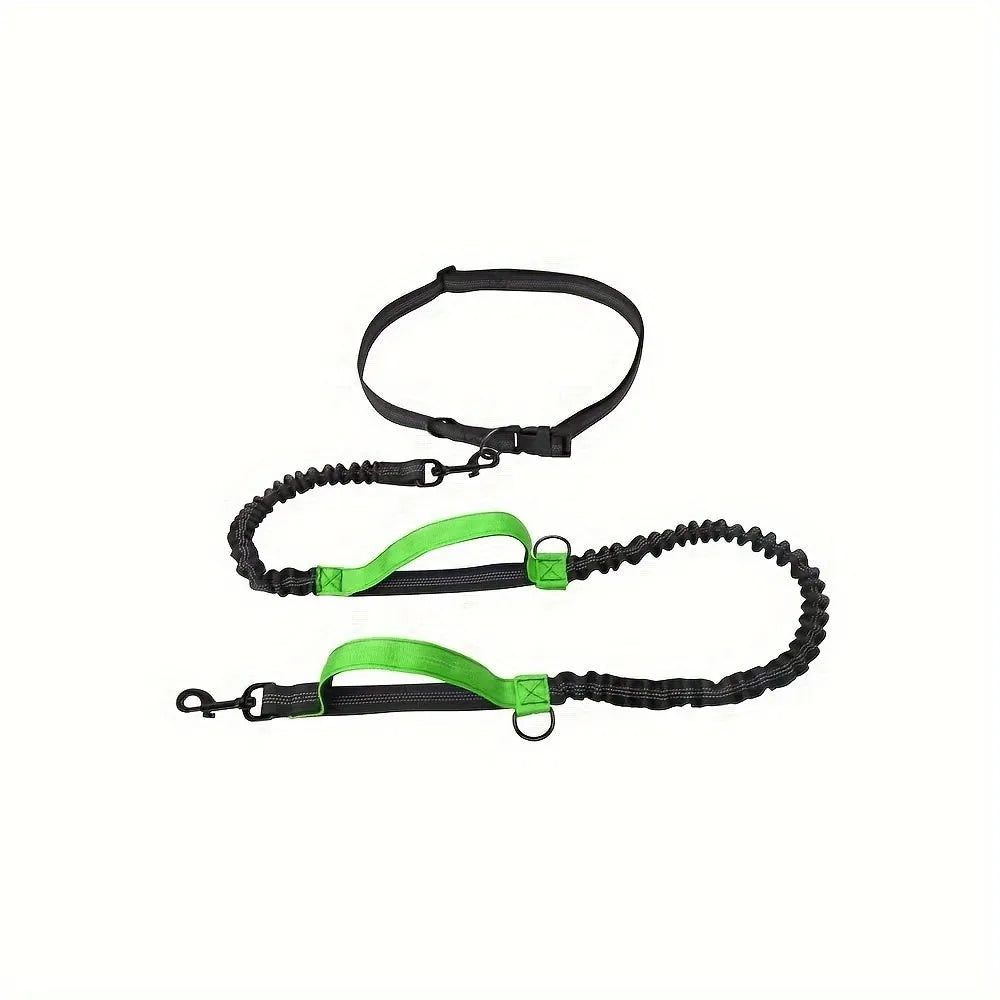Hands-free dog leash with adjustable waist belt showing reflective trim and quick-release clip