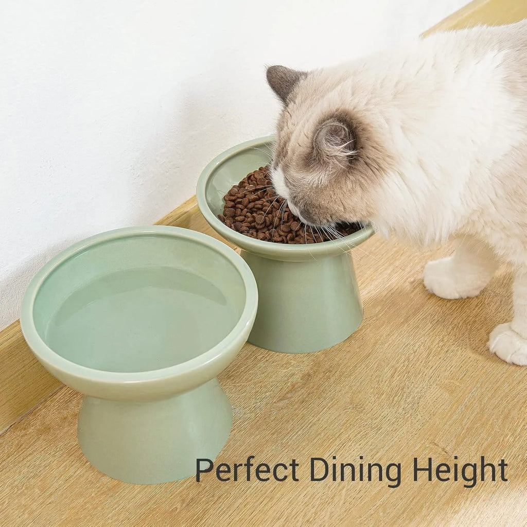 Ceramic elevated cat food bowl in blue colour with wide shallow design and raised base
