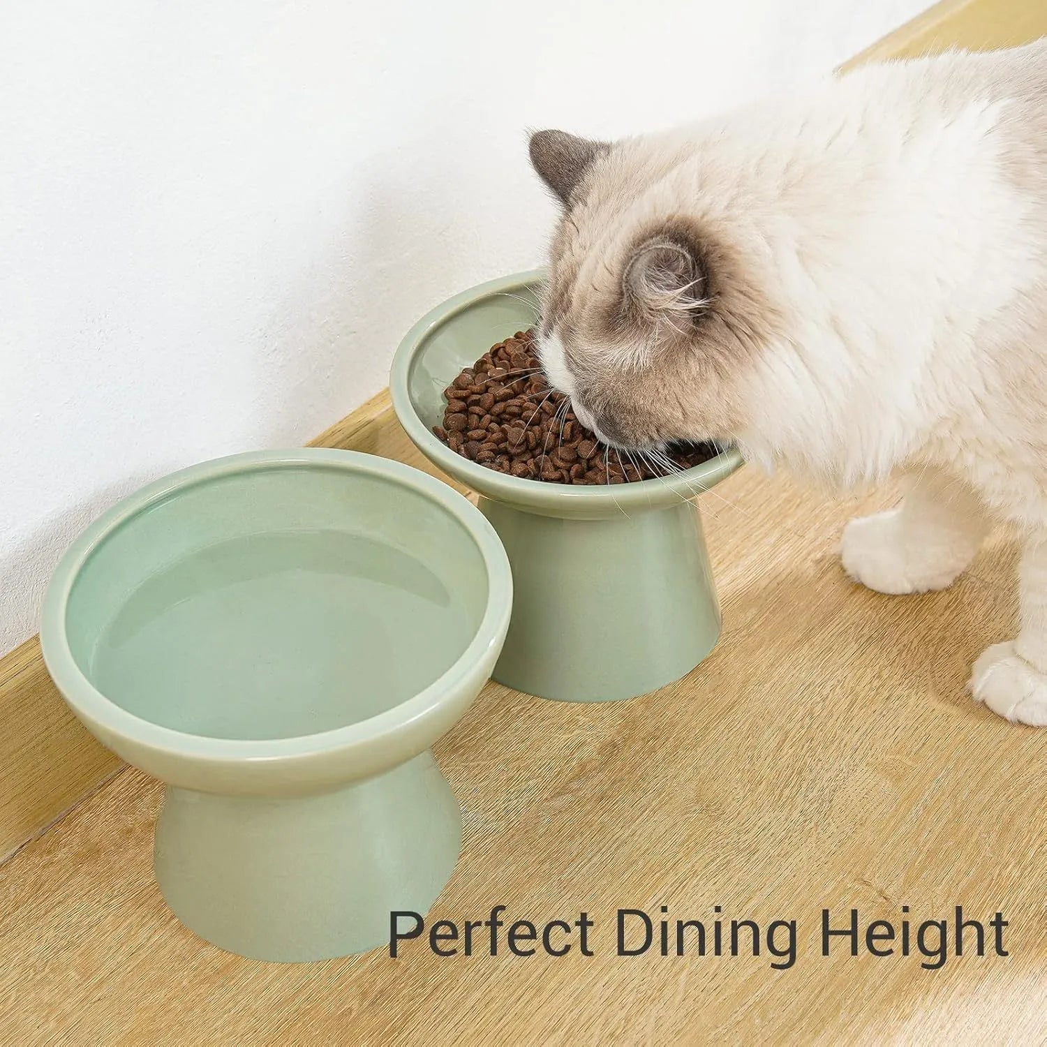 Ceramic elevated cat food bowl in blue colour with wide shallow design and raised base