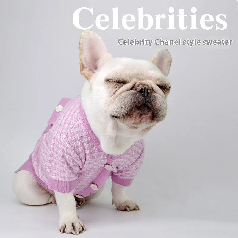 Classic style wool schnauzer dog clothing for autumn and winter seasons