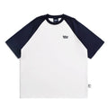 Men's casual raglan sleeve t-shirt in blue, green and grey colours with loose fit design