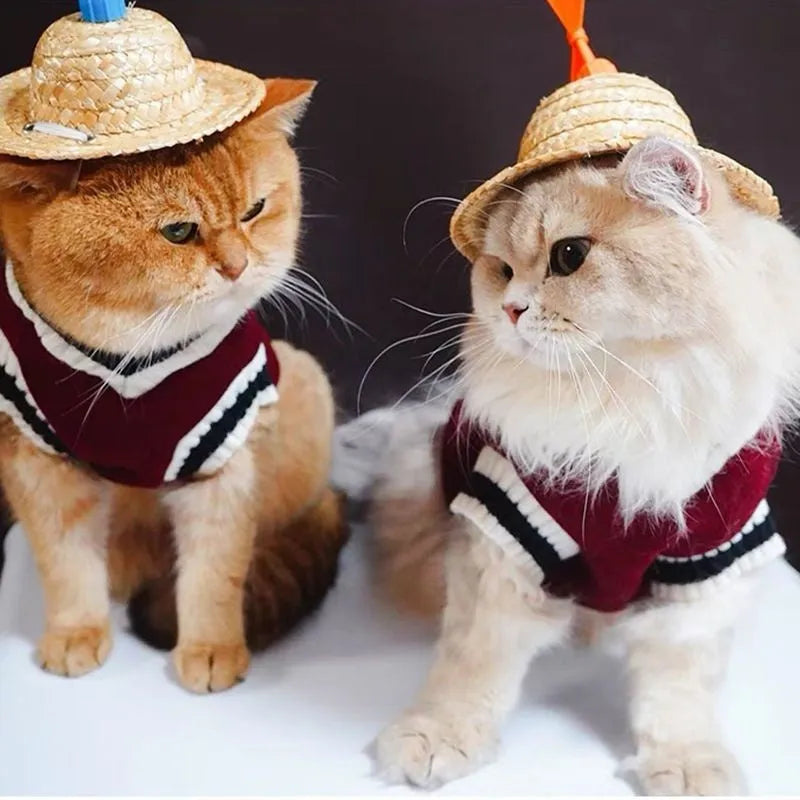 College style winter cat clothing in blue duck colour showing size options for cats 1-9.5kg