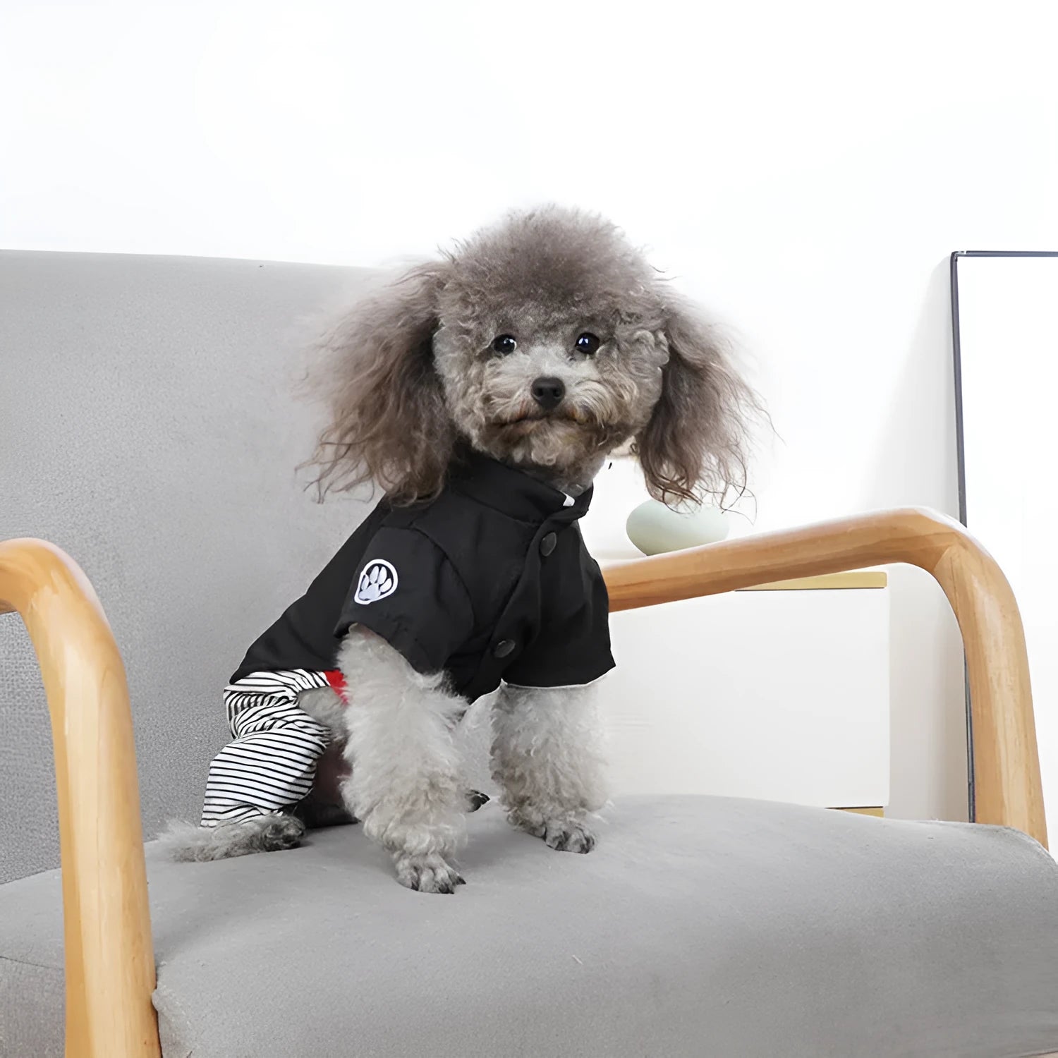 Thin cotton dog clothes shown as a skirt style and four-foot pants style for small breeds like poodles.