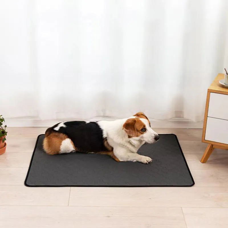 Waterproof dog changing mat in beige, dark grey or light grey with absorbent surface and non-slip backing