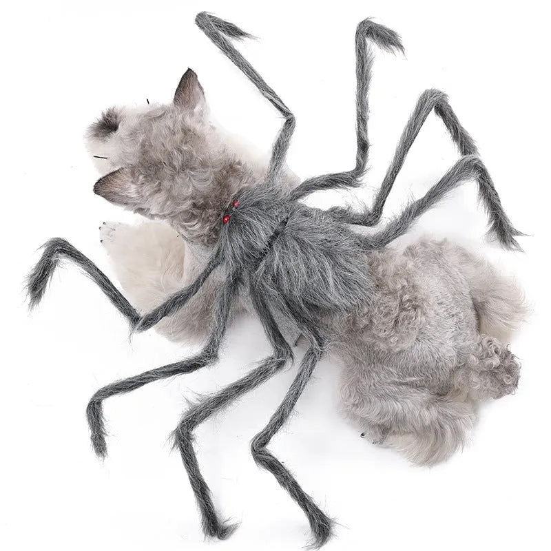 Grey Halloween spider costume for a small dog, showing the eight-legged design.