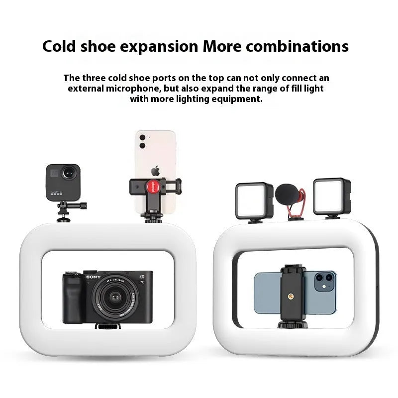 Rechargeable mobile phone fill light with adjustable colour temperature and dual mounting options