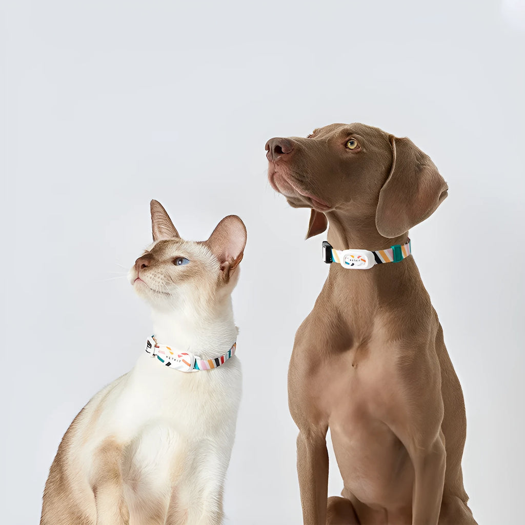 Bluetooth pet anti-lost device for cats and dogs, adjustable neck sizes S to M, fashion simple style