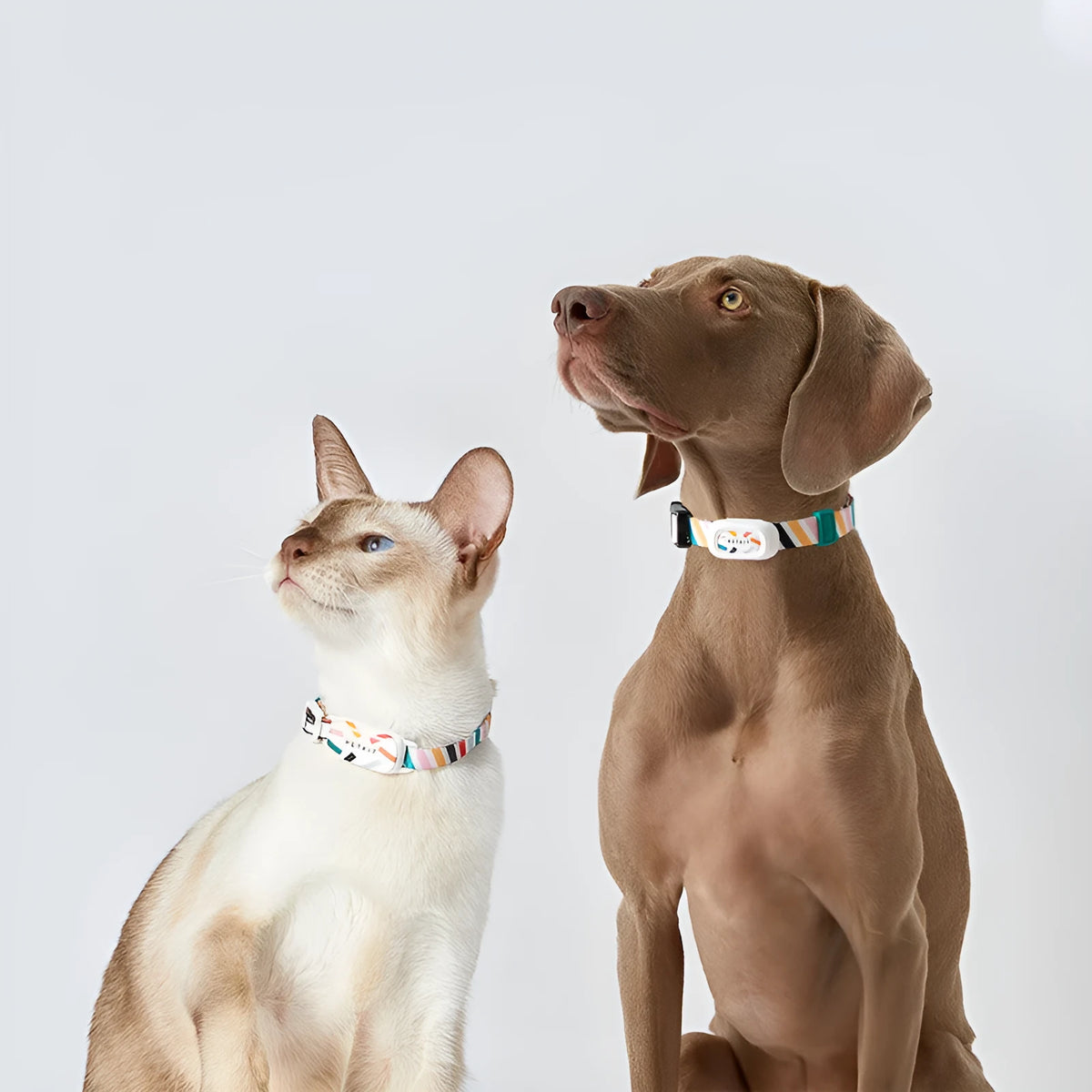 Bluetooth pet anti-lost device for cats and dogs, adjustable neck sizes S to M, fashion simple style