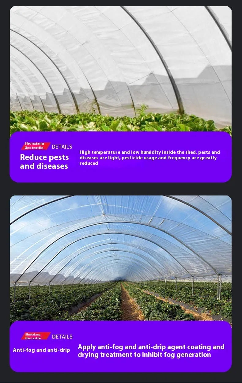 Roll of 4x8 metre plastic greenhouse film for vegetable shed cold protection