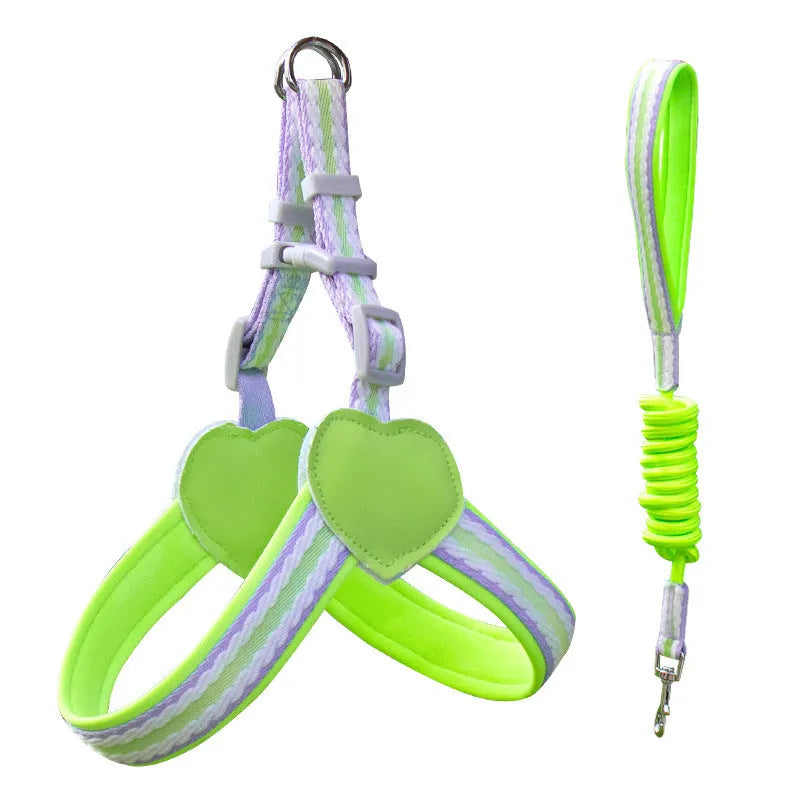 Nylon dog walking harness and leash set in multiple colours with adjustable sizing