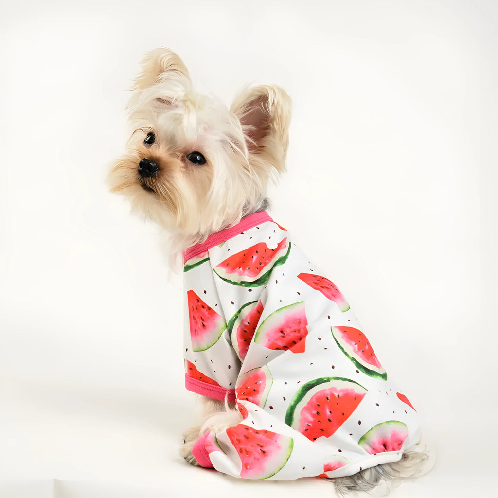 Four-legged dog jumpsuit in watermelon red print made from polyester, available in multiple sizes