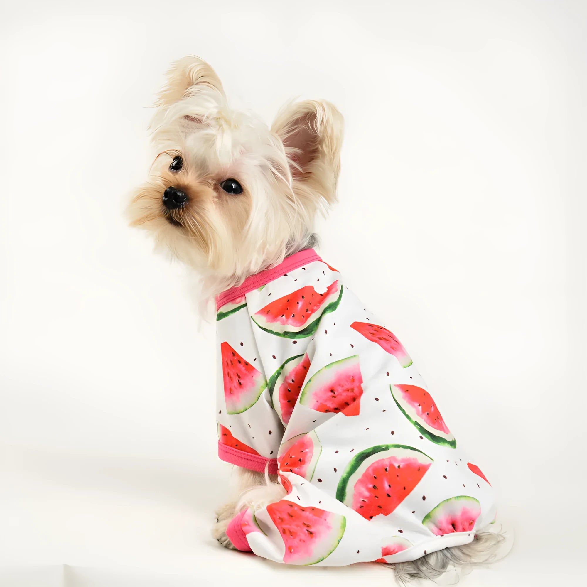 Four-legged dog jumpsuit in watermelon red print made from polyester, available in multiple sizes