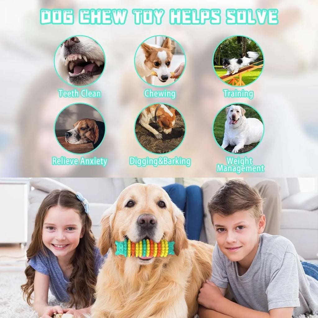 Blue green pink rubber caterpillar shape dog chew toy for aggressive chewers on a white background.