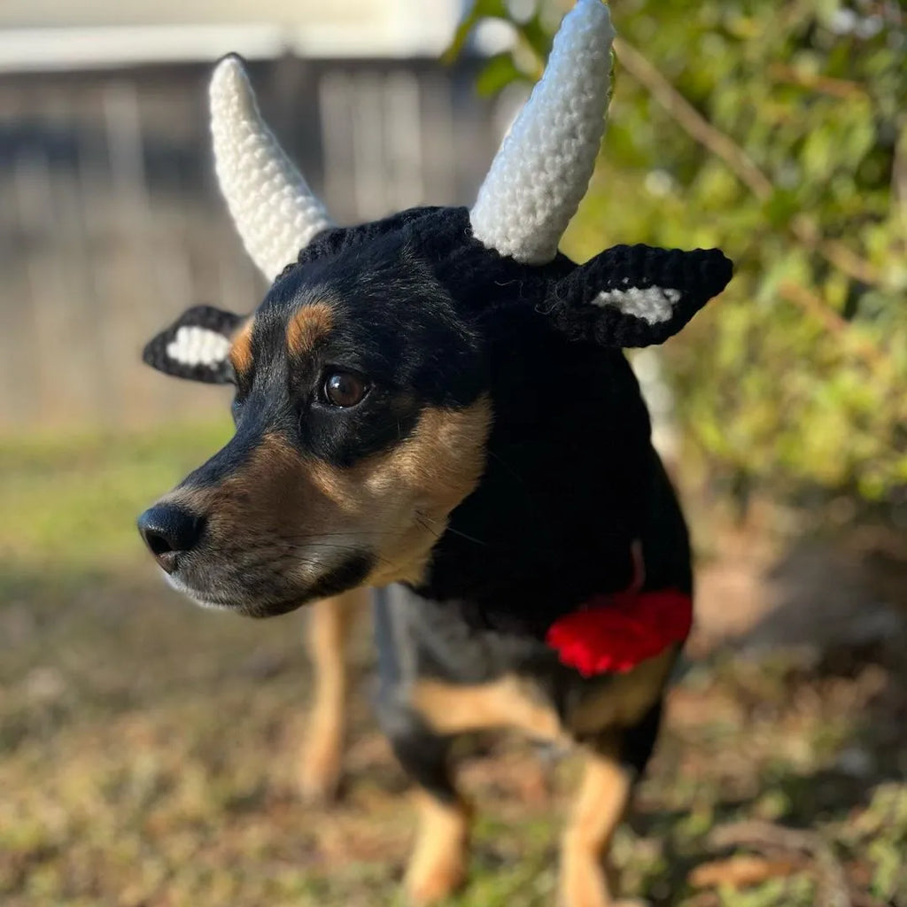 Black Cow knitted acrylic dog hat, thermal windproof jacquard pet hat in sizes S M L for four seasons